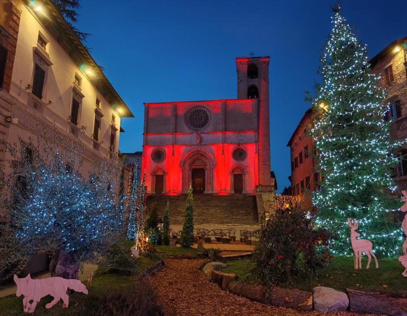 Un albero di natale di fronte a una chiesa, in un’atmosfera accogliente.
